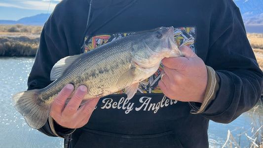 Finesse Fishing for Largemouth Bass in February: Mastering the Cold Water Challenge