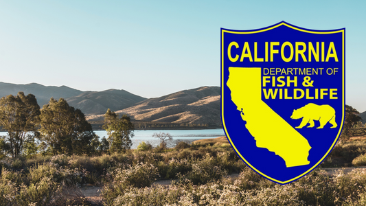 California Fishing Resources