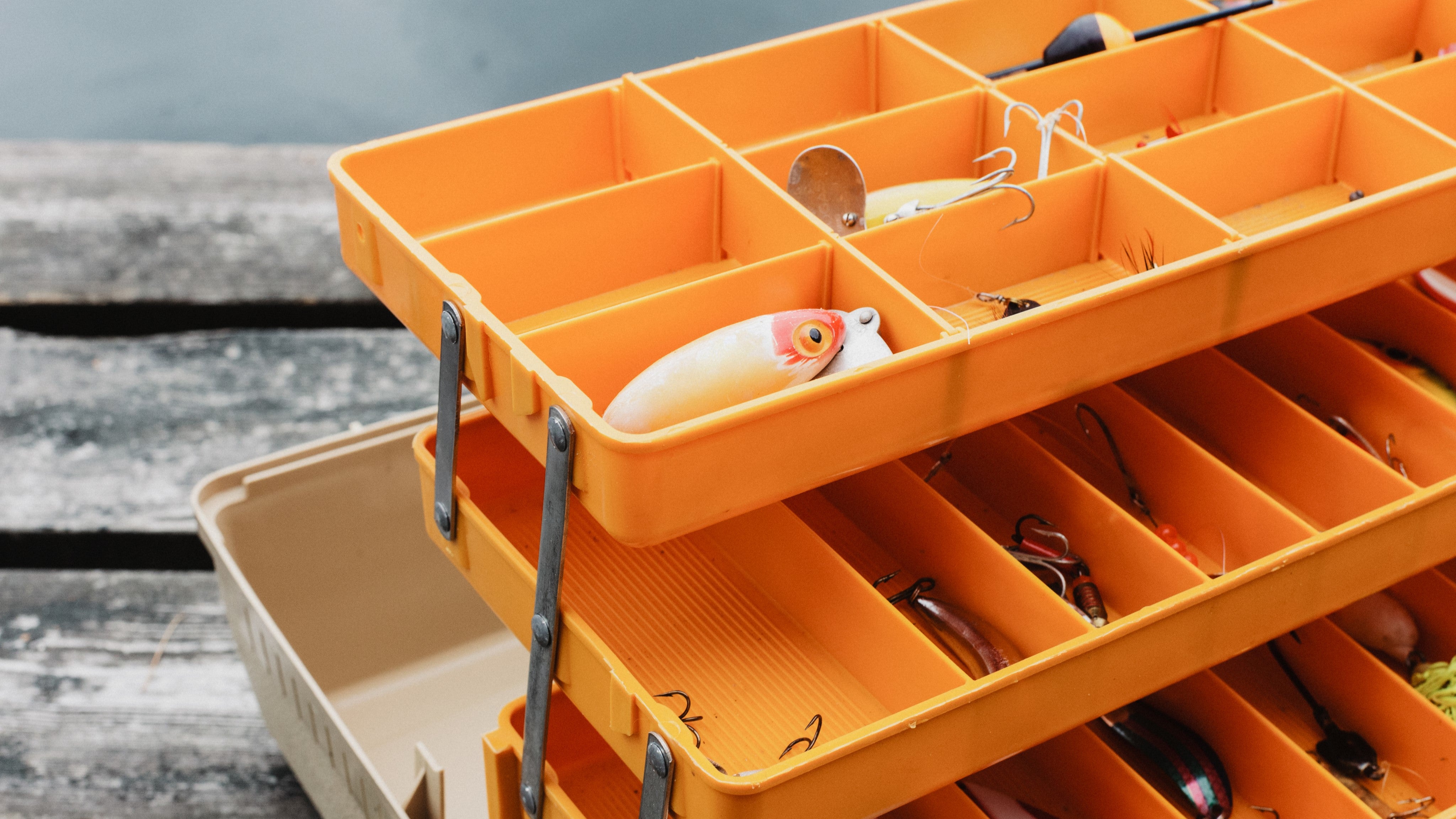 Beginner's Guide Which Bait to Use and When Tackle Supply